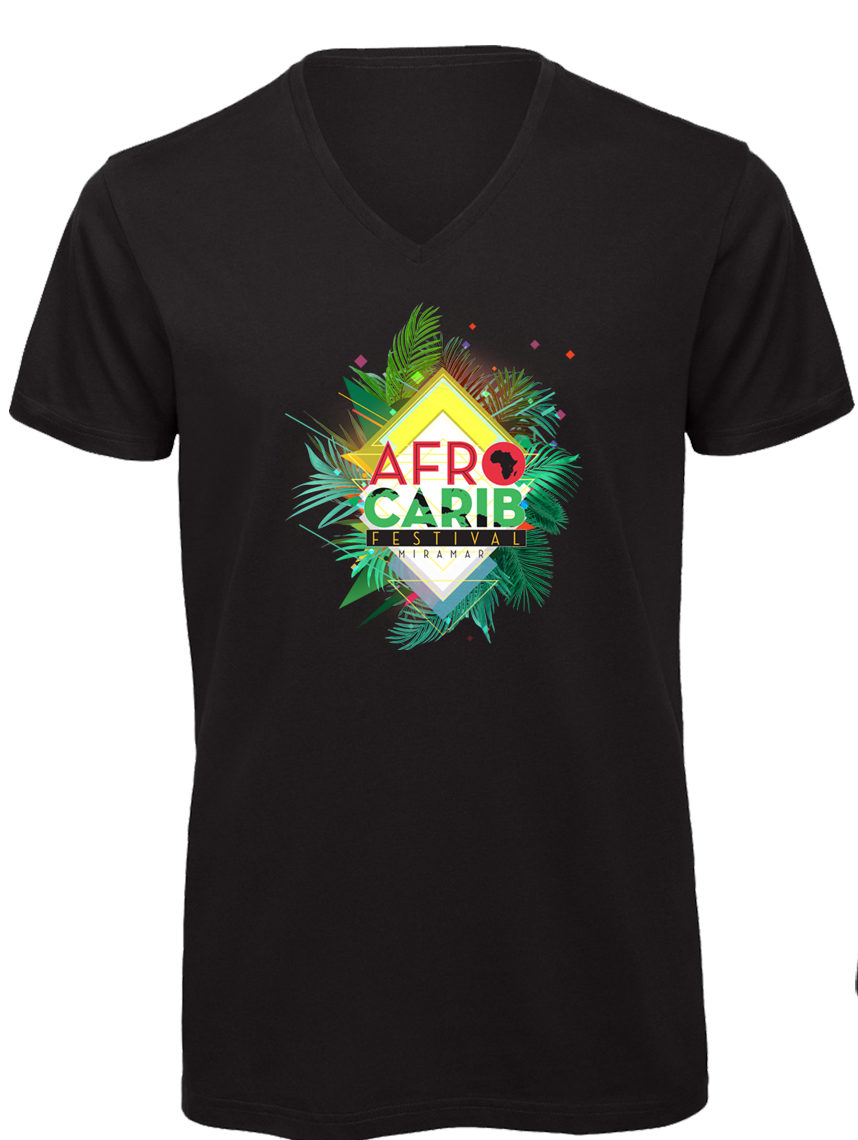 Afro Carib Festival Ladies V-Neck T-shirt